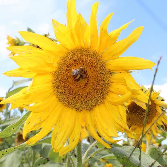 Meet your Posher, Kristin - Picture 1 of 1